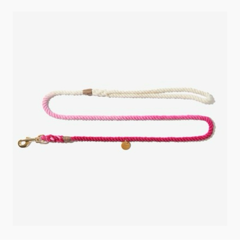 Hand dyed dog leash
